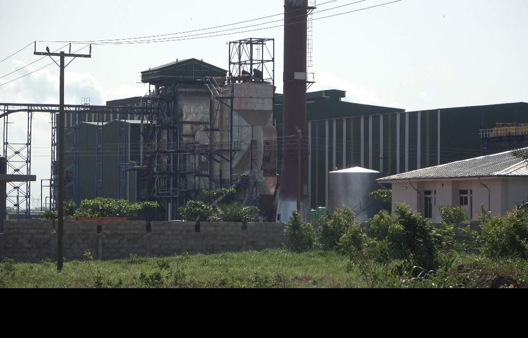Komenda Sugar Factory business